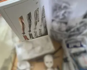 スカルプターのための美術解剖学